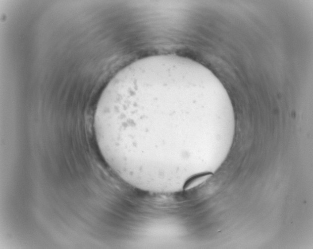 X0000088650768200706152007