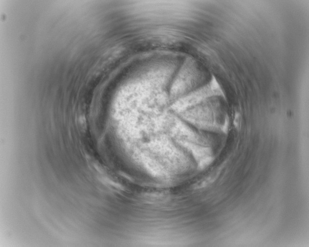 X0000088650771200706152006