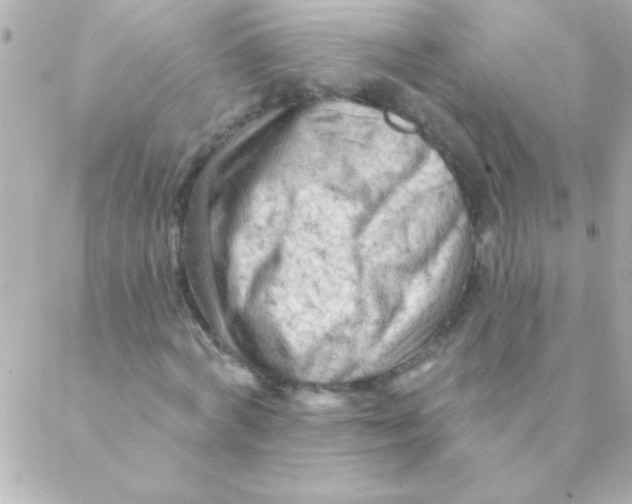 X0000088650772200706152006