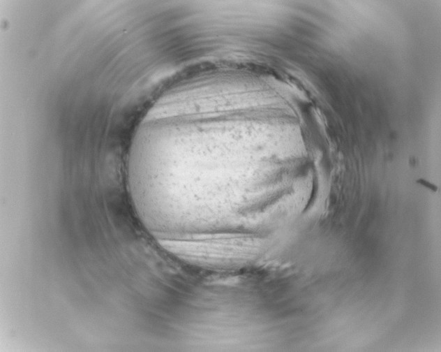 X0000088650773200706152006