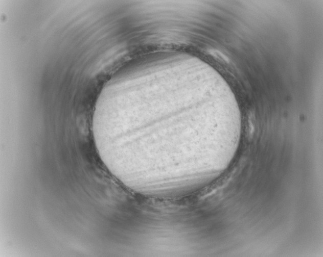 X0000088650774200706152006