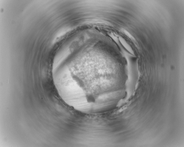 X0000088650775200706152006