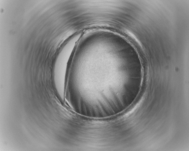 X0000088650777200706152006