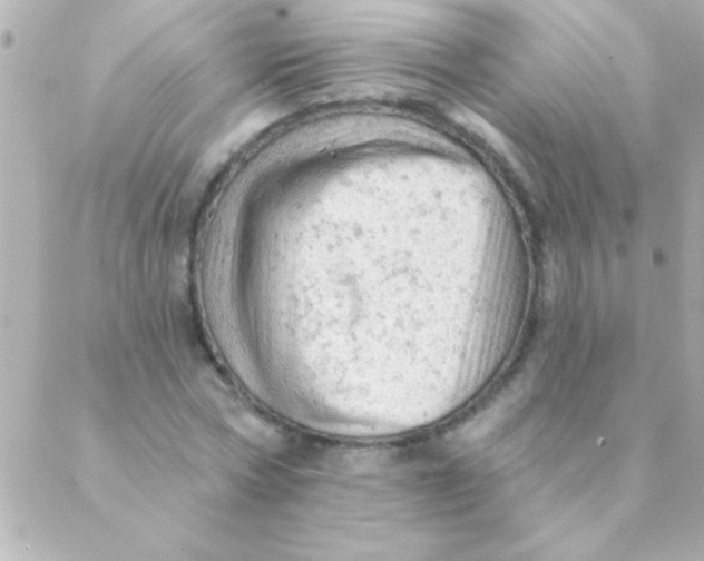 X0000088650778200706152006