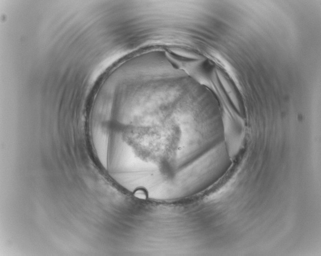 X0000088650779200706152006