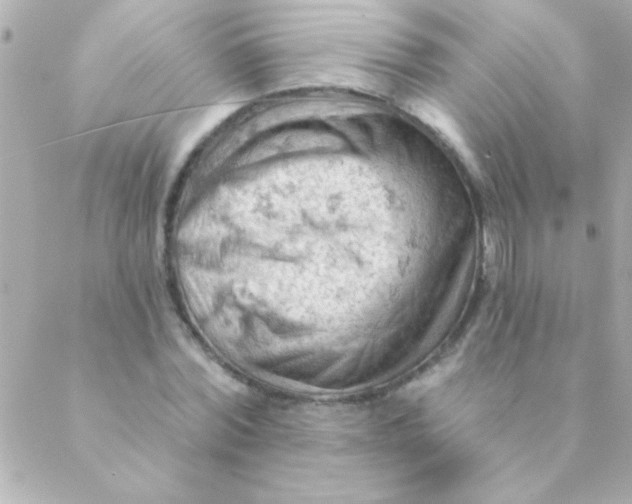 X0000088650780200706152006