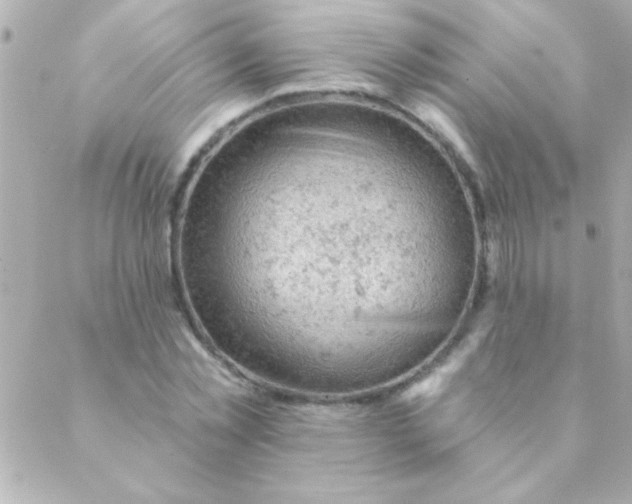 X0000088650781200706152006