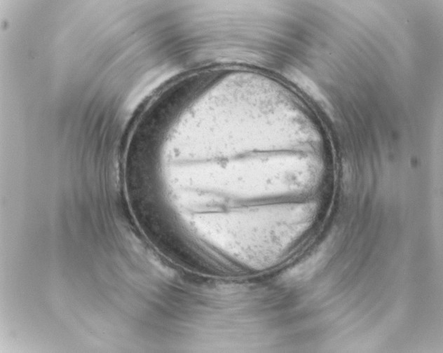 X0000088650782200706152006