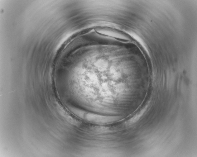 X0000088650783200706152006