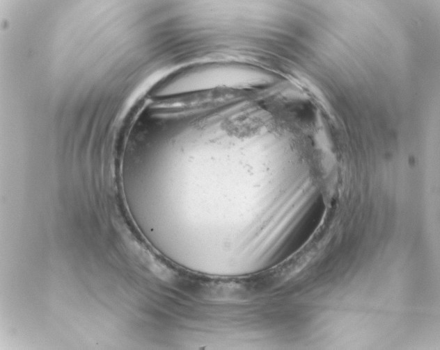 X0000088650784200706152006