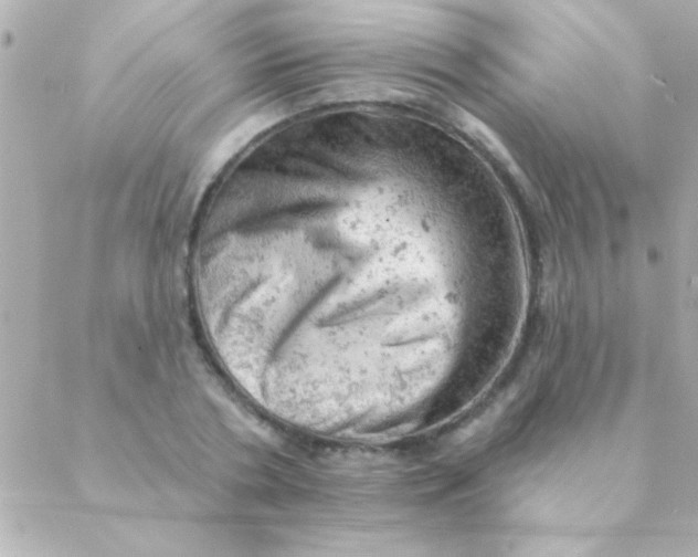 X0000088650786200706152006