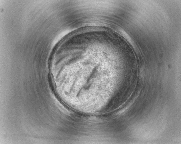 X0000088650787200706152006