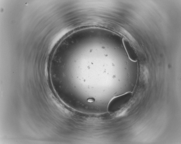 X0000088650788200706152006