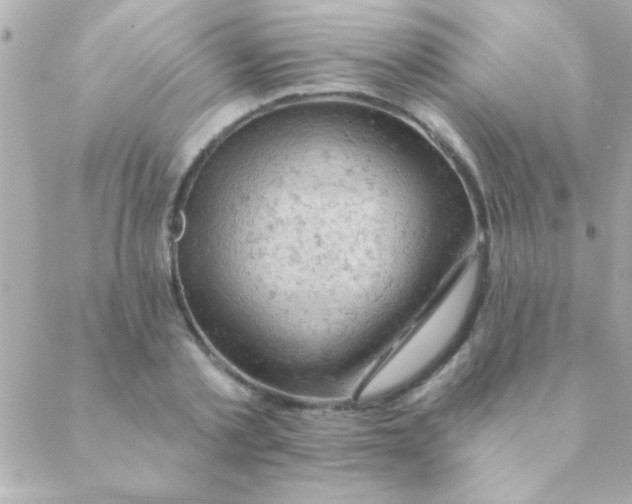 X0000088650789200706152006