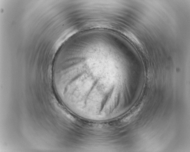 X0000088650790200706152006