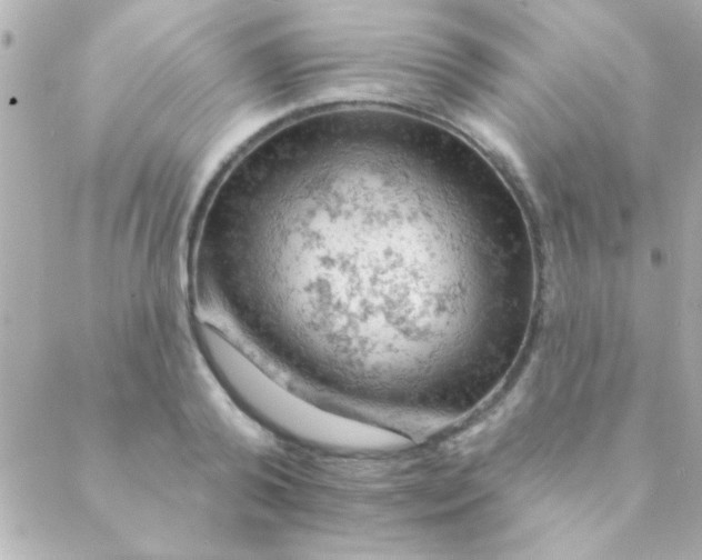 X0000088650792200706152006