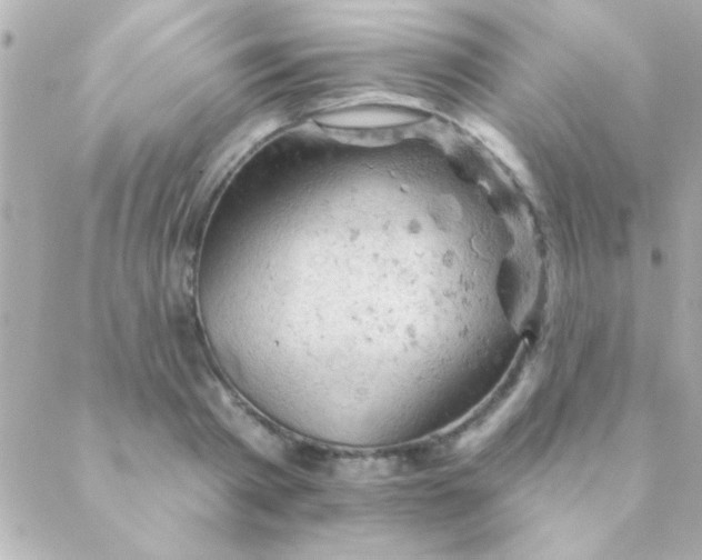 X0000088650793200706152006