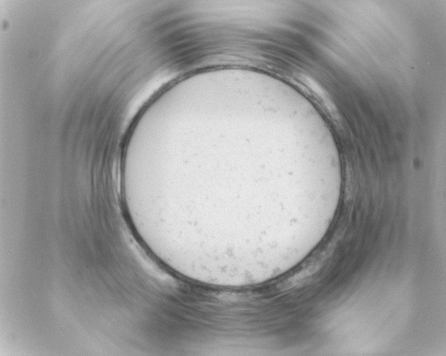 X0000088650796200706152006