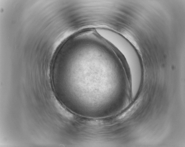 X0000088650797200706152006