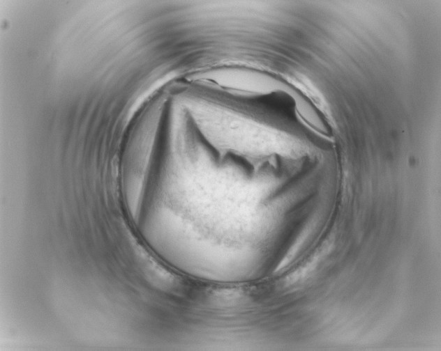 X0000088650798200706152006