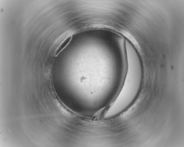 X0000088650801200706152006