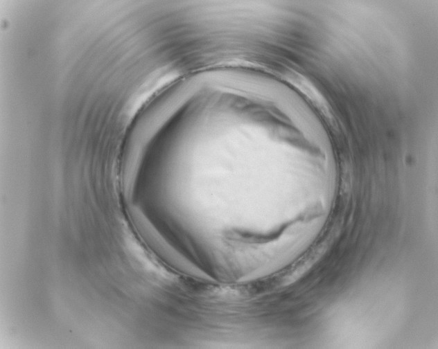 X0000088650806200706152006