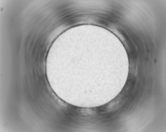 X0000088650807200706152006