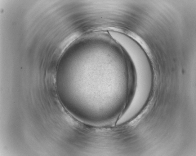 X0000088650809200706152006