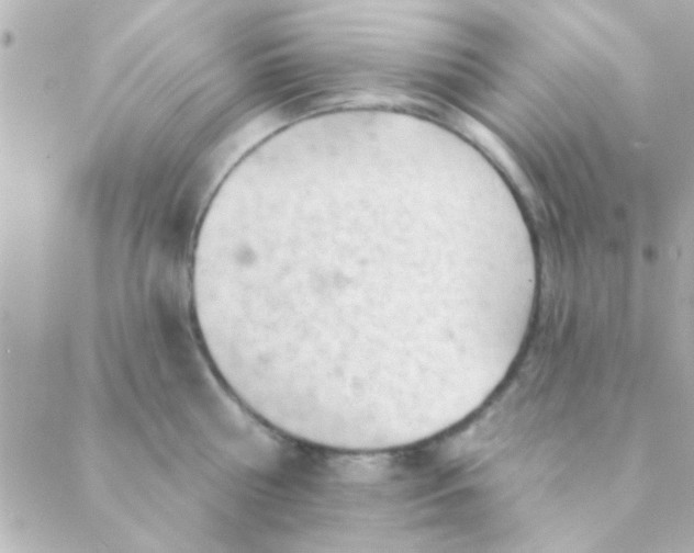 X0000088650810200706152006