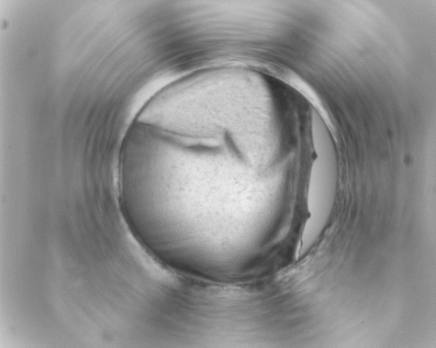 X0000088650811200706152006