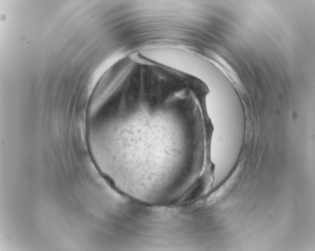 X0000088650812200706152006