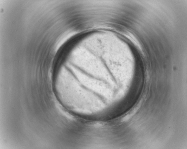 X0000088650814200706152006