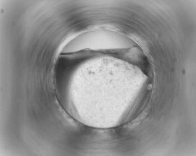 X0000088650816200706152006