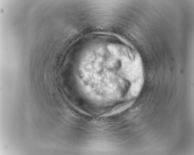 X0000088650817200706152005