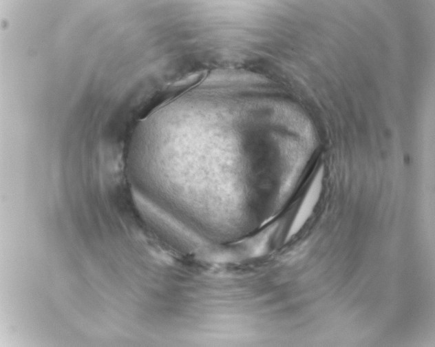 X0000088650818200706152005