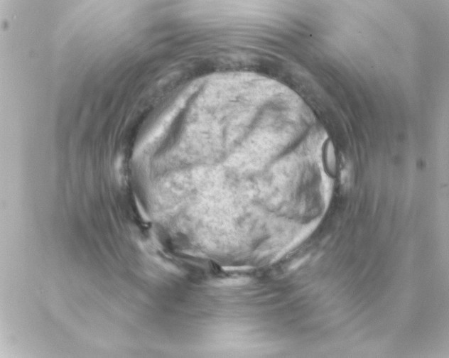 X0000088650819200706152005