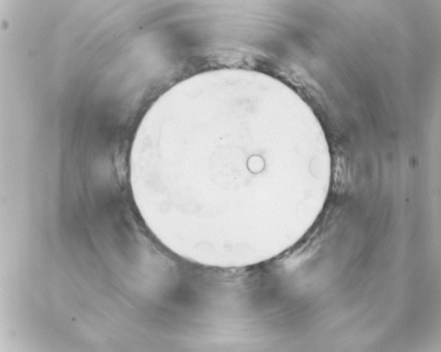 X0000088650820200706152005