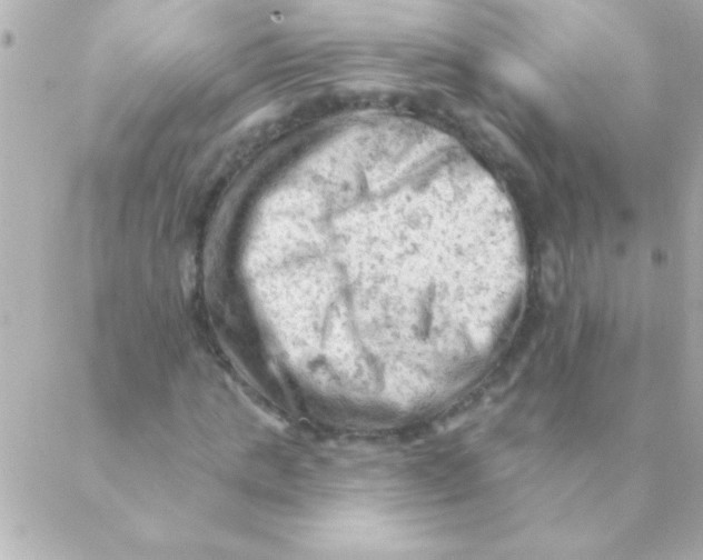 X0000088650821200706152005