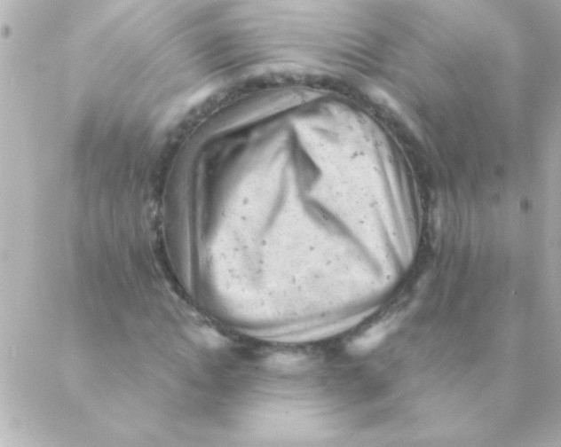 X0000088650822200706152005