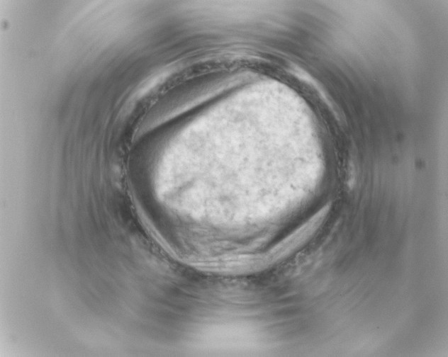 X0000088650823200706152005