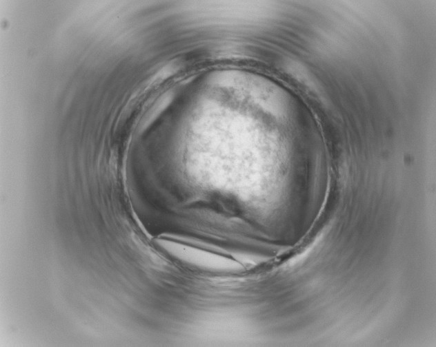 X0000088650825200706152005