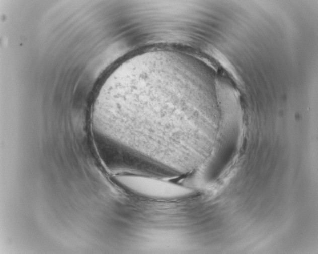 X0000088650826200706152005