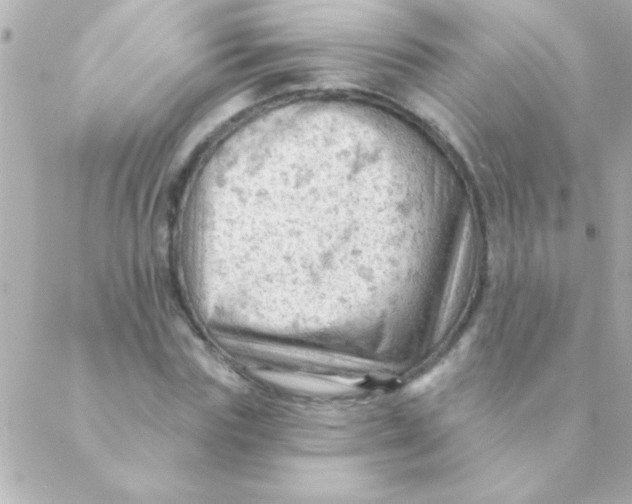 X0000088650827200706152005