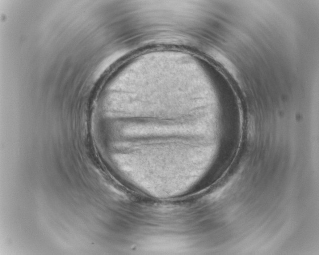 X0000088650829200706152005