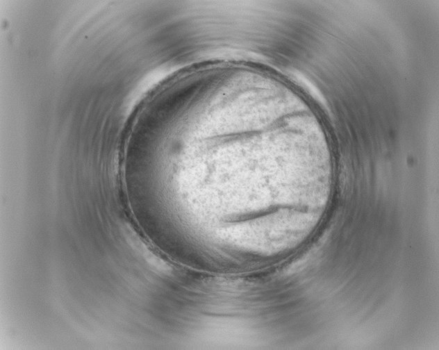 X0000088650831200706152005