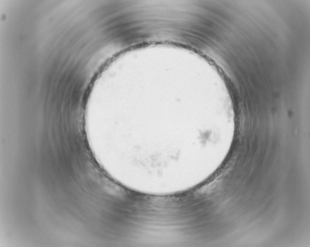 X0000088650832200706152005