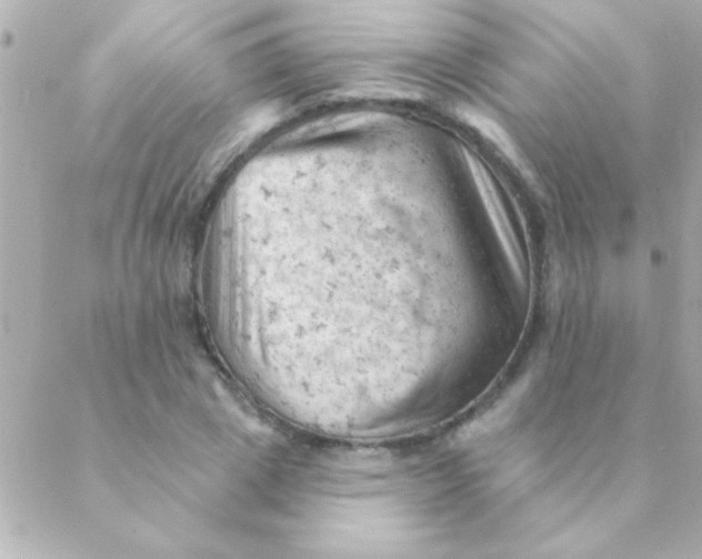 X0000088650833200706152005