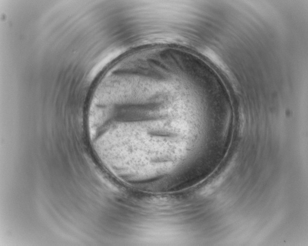 X0000088650834200706152005