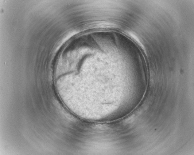 X0000088650835200706152005