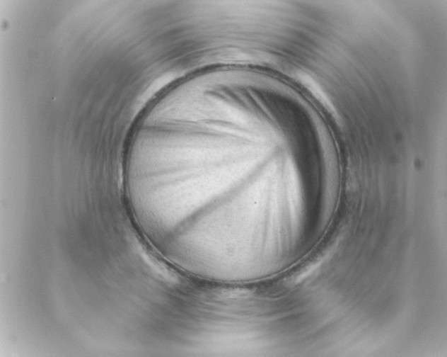 X0000088650837200706152005